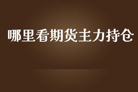 哪里看期货主力持仓_https://qh.lansai.wang_期货喊单_第1张