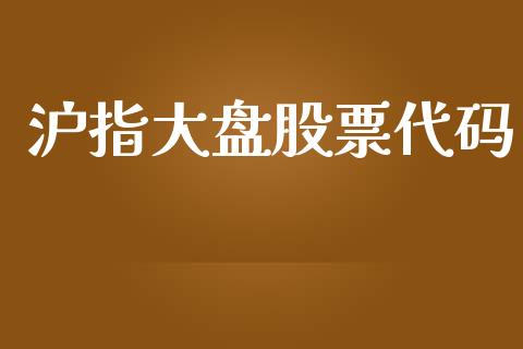 沪指大盘股票代码_https://qh.lansai.wang_期货理财_第1张