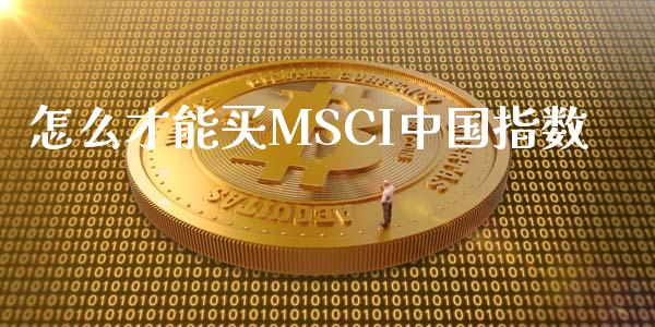 怎么才能买MSCI中国指数_https://qh.lansai.wang_海康威视股票_第1张