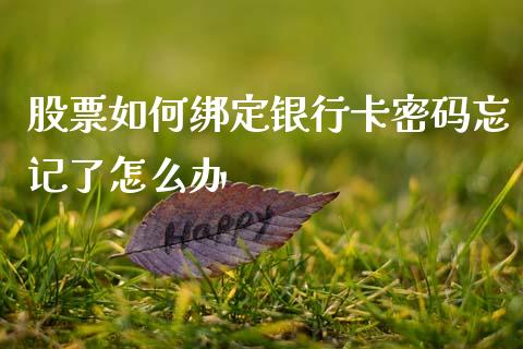 股票如何绑定银行卡密码忘记了怎么办_https://qh.lansai.wang_期货理财_第1张