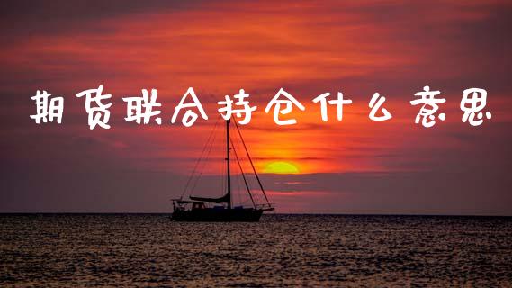 期货联合持仓什么意思_https://qh.lansai.wang_期货喊单_第1张