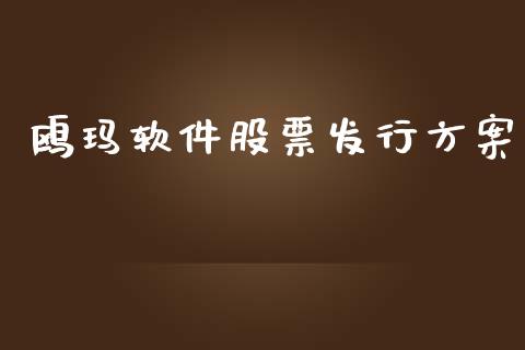 鸥玛软件股票发行方案_https://qh.lansai.wang_期货理财_第1张