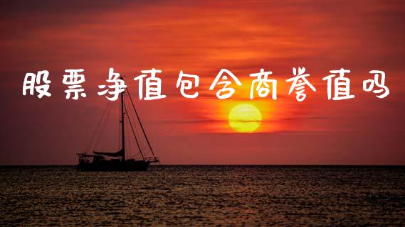 股票净值包含商誉值吗_https://qh.lansai.wang_期货怎么玩_第1张