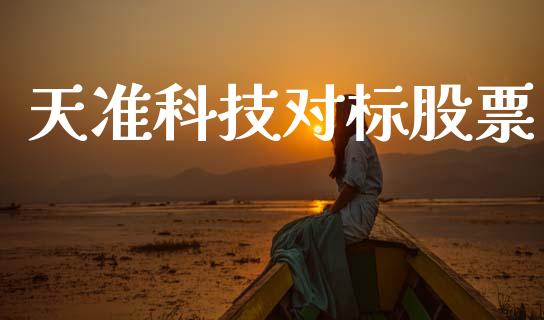 天准科技对标股票_https://qh.lansai.wang_期货理财_第1张