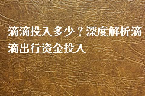 滴滴投入多少？深度解析滴滴出行资金投入_https://qh.lansai.wang_股票新闻_第1张