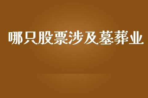 哪只股票涉及墓葬业_https://qh.lansai.wang_新股数据_第1张