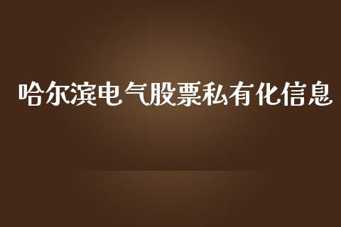 哈尔滨电气股票私有化信息_https://qh.lansai.wang_新股数据_第1张