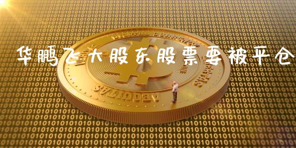 华鹏飞大股东股票要被平仓_https://qh.lansai.wang_期货理财_第1张