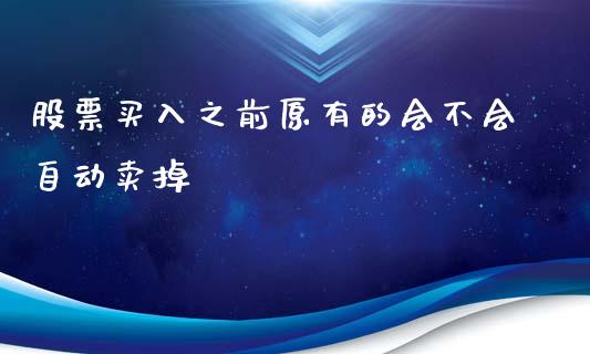 股票买入之前原有的会不会自动卖掉_https://qh.lansai.wang_期货理财_第1张