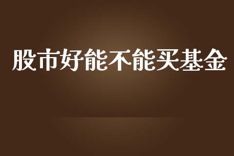 股市好能不能买基金_https://qh.lansai.wang_期货理财_第1张