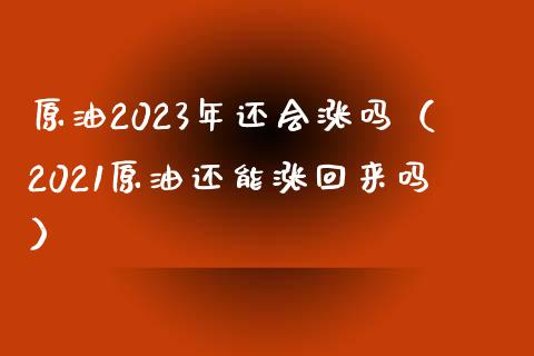 原油2023年还会涨吗（2021原油还能涨回来吗）_https://qh.lansai.wang_海康威视股票_第1张