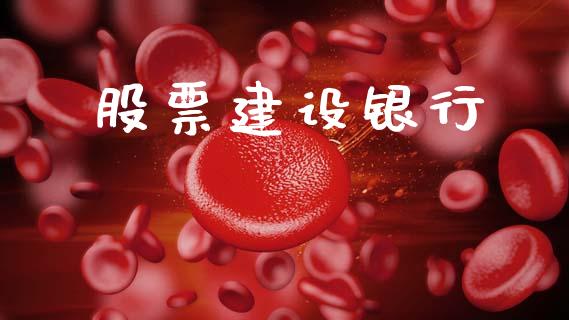 股票建设银行_https://qh.lansai.wang_期货喊单_第1张