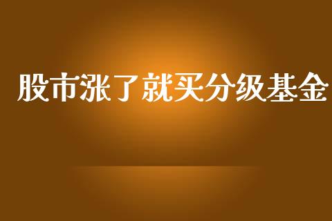 股市涨了就买分级基金_https://qh.lansai.wang_期货理财_第1张