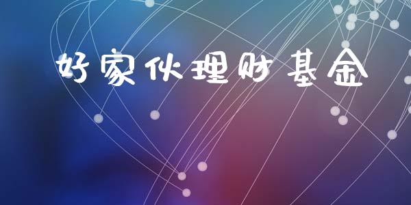 好家伙理财基金_https://qh.lansai.wang_期货理财_第1张