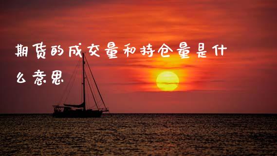 期货的成交量和持仓量是什么意思_https://qh.lansai.wang_期货理财_第1张
