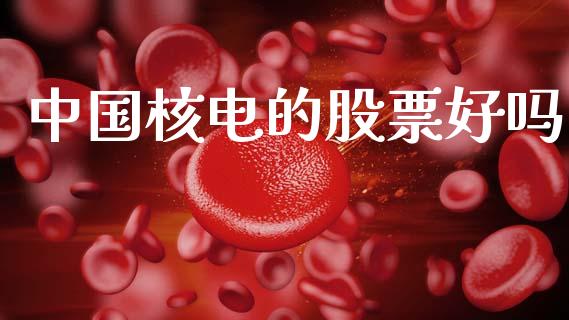 中国核电的股票好吗_https://qh.lansai.wang_新股数据_第1张