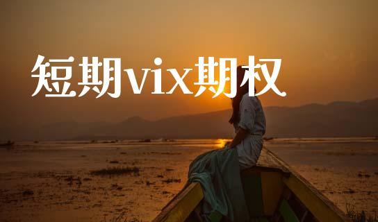 短期vix期权_https://qh.lansai.wang_期货理财_第1张