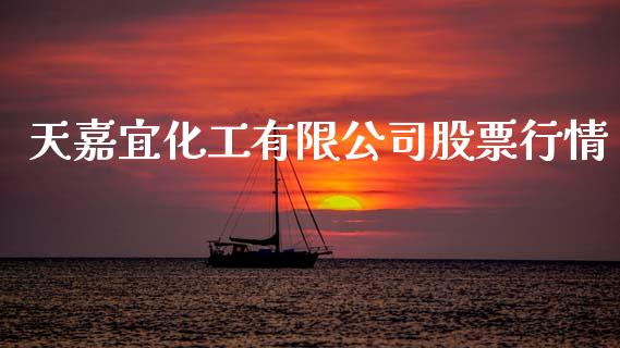 天嘉宜化工有限公司股票行情_https://qh.lansai.wang_新股数据_第1张