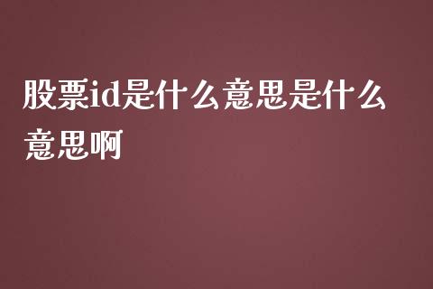 股票id是什么意思是什么意思啊_https://qh.lansai.wang_新股数据_第1张