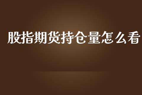 股指期货持仓量怎么看_https://qh.lansai.wang_期货怎么玩_第1张