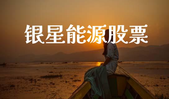 银星能源股票_https://qh.lansai.wang_期货理财_第1张