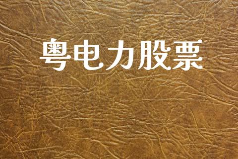 粤电力股票_https://qh.lansai.wang_期货怎么玩_第1张
