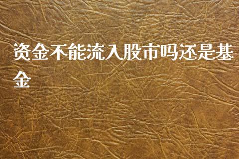 资金不能流入股市吗还是基金_https://qh.lansai.wang_期货理财_第1张