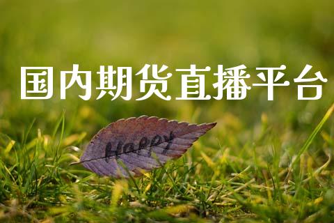 国内期货直播平台_https://qh.lansai.wang_期货喊单_第1张