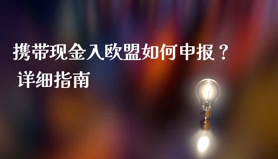 携带现金入欧盟如何申报？ 详细指南_https://qh.lansai.wang_股票技术分析_第1张