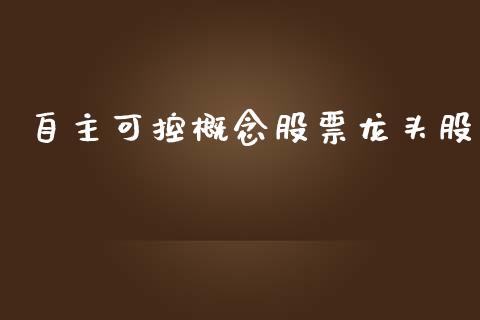自主可控概念股票龙头股_https://qh.lansai.wang_期货怎么玩_第1张