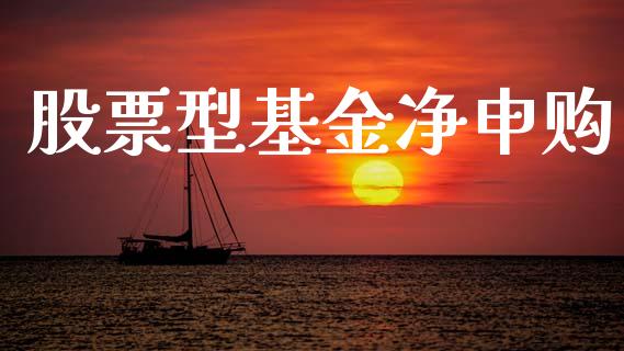 股票型基金净申购_https://qh.lansai.wang_期货怎么玩_第1张