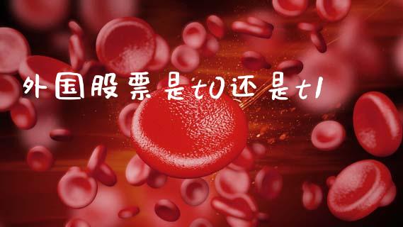 外国股票是t0还是t1_https://qh.lansai.wang_期货理财_第1张