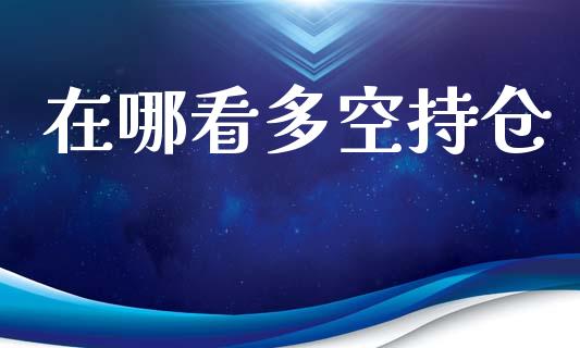 在哪看多空持仓_https://qh.lansai.wang_期货理财_第1张