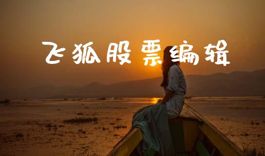 飞狐股票编辑_https://qh.lansai.wang_期货怎么玩_第1张