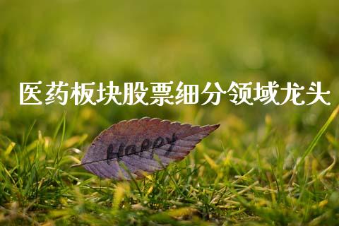 医药板块股票细分领域龙头_https://qh.lansai.wang_期货理财_第1张