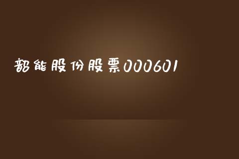 韶能股份股票000601_https://qh.lansai.wang_期货喊单_第1张
