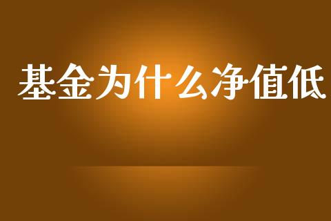 基金为什么净值低_https://qh.lansai.wang_新股数据_第1张