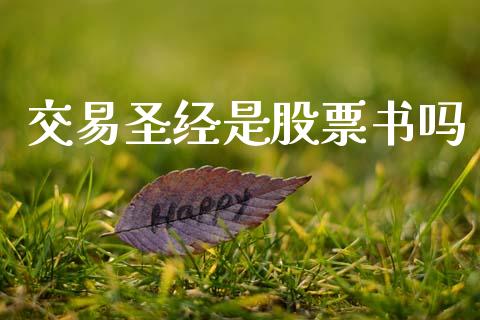交易圣经是股票书吗_https://qh.lansai.wang_期货怎么玩_第1张