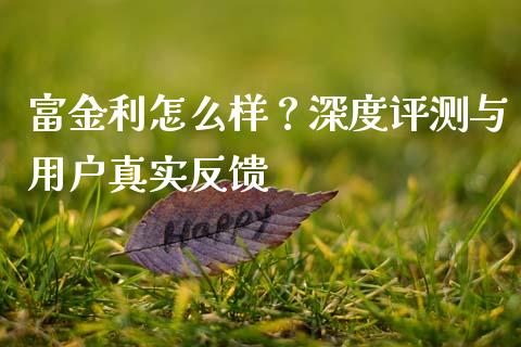富金利怎么样？深度评测与用户真实反馈_https://qh.lansai.wang_期货喊单_第1张