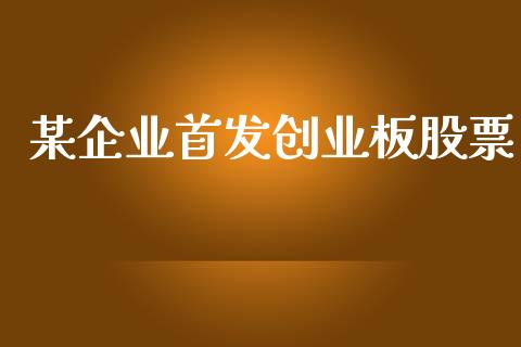 某企业首发创业板股票_https://qh.lansai.wang_新股数据_第1张