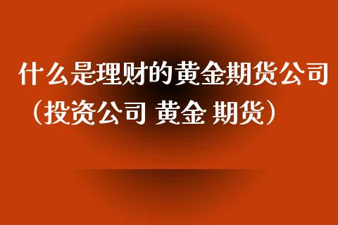 什么是理财的黄金期货公司（投资公司 黄金 期货）_https://qh.lansai.wang_期货喊单_第1张