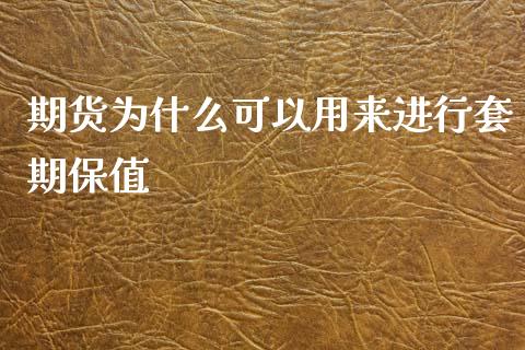 期货为什么可以用来进行套期保值_https://qh.lansai.wang_新股数据_第1张