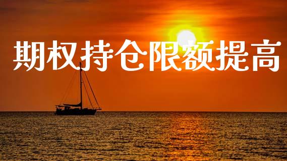 期权持仓限额提高_https://qh.lansai.wang_期货怎么玩_第1张