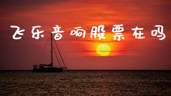 飞乐音响股票在吗_https://qh.lansai.wang_期货理财_第1张