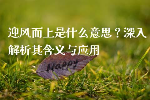 迎风而上是什么意思？深入解析其含义与应用_https://qh.lansai.wang_股票技术分析_第1张
