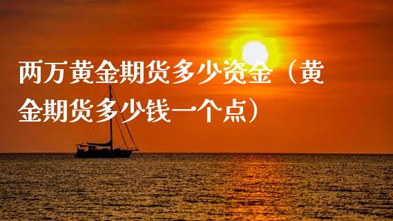 两万黄金期货多少资金（黄金期货多少钱一个点）_https://qh.lansai.wang_期货理财_第1张