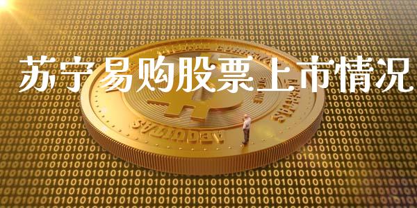 苏宁易购股票上市情况_https://qh.lansai.wang_期货喊单_第1张
