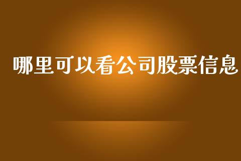 哪里可以看公司股票信息_https://qh.lansai.wang_期货喊单_第1张