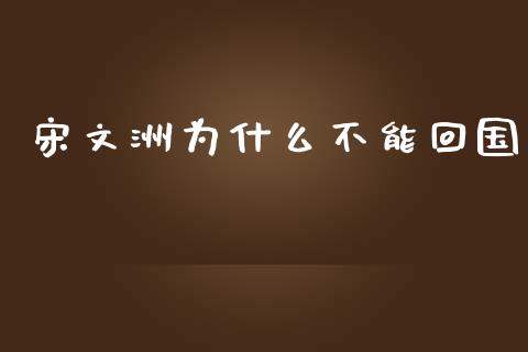 宋文洲为什么不能回国_https://qh.lansai.wang_新股数据_第1张