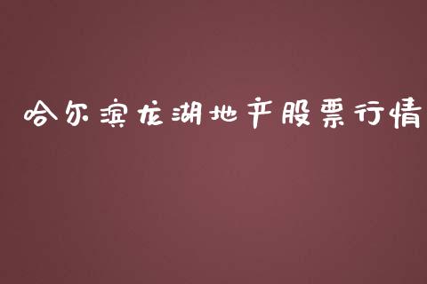 哈尔滨龙湖地产股票行情_https://qh.lansai.wang_新股数据_第1张